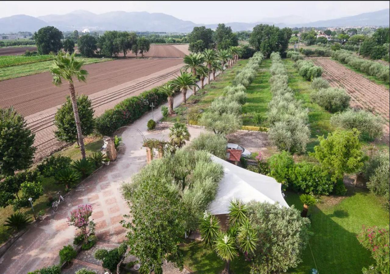 سيسا أورونكا Villa Rosa Lifestyle B&B المظهر الخارجي الصورة